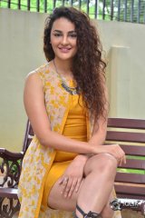 Seerat Kapoor At Raju Gari Gadhi 2 Movie Trailer Launch